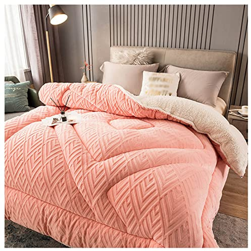Winter Quilt, Thicken Warm Lamb Cashmere Blanket Winter, Lamb Wool Blanket, Heavy Blankets for Winter Double Bed, Bedding Fleece Blanket for Home Bedroom,B,150x200cm(2.5kg)