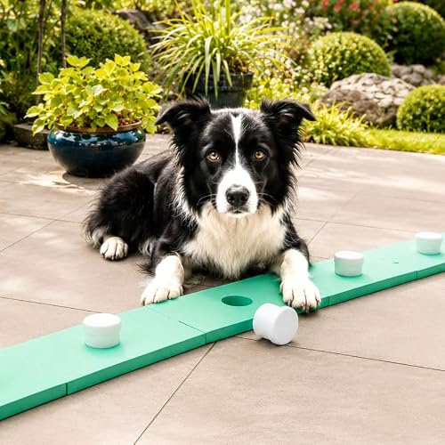 vabiono Schnüffelspaß Supernasen-Set für Hunde (große und kleine) Hundetraining, Obedience, Hundesport, Dog Agility