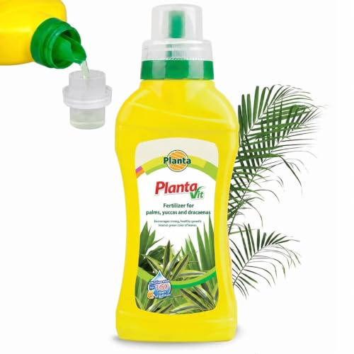 Liquid Fertiliser for Palms, Yucca and Dracaena 400ml Concentrate
