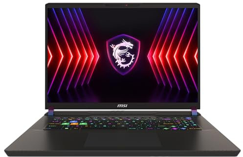 MSI Vector 17 HX Gaming Laptop 17,0 QHD+ 240Hz, Intel Core i9-13980HX, NVIDIA GeForce RTX 4080, 32GB DDR5, 1TB SSD, Windows 11 Home, tastiera QWERTZ, A13VHG-813, Cosmos Gray