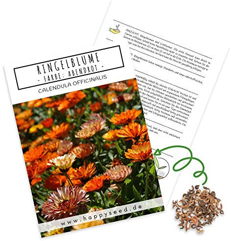 Ringelblumen Samen (Calendula Officinalis) - Vielseitige Heilpflanze mit essbaren Blüten & ideal für eine bunte Blumenwiese (Abendrot)