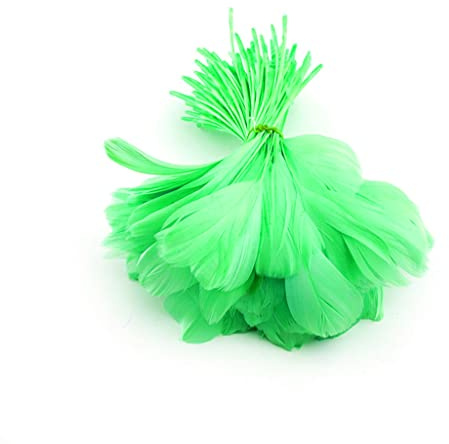 Shekyeon Goose Feather Plume Stripped Coque Feather for Clothing Hat Craft Decoration Pack of 50pcs (Green)