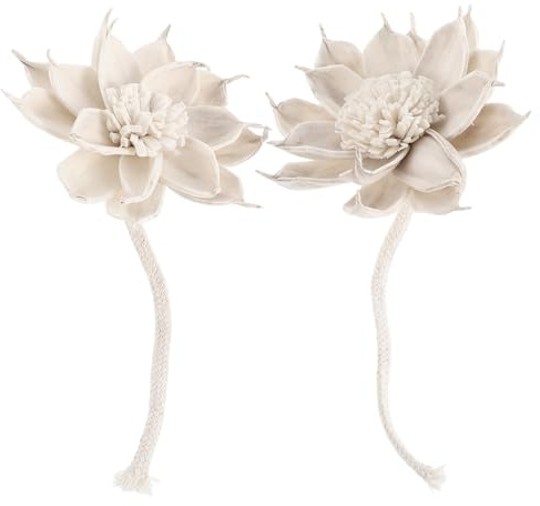 minkissy Diffusore di Aromaterapia senza 2 Pezzi con Fiori di Paglia Beige e Corda di Cotone per Profumazione Autentica e Uniforme in Soggiorno e Casa