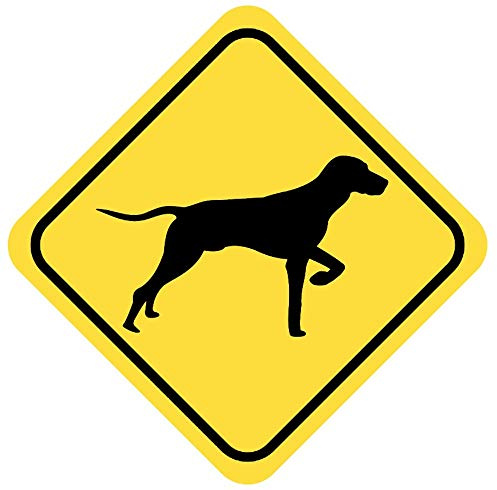 Samunshi® Magyar Vizsla Warnschild Warndreieck Aufkleber Achtung Vorsicht Hund - 20x20cm mehrfarbig