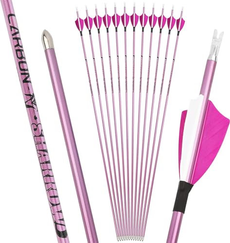 HNZMDY Bogenschießen Carbonpfeile 4.2mm Jagdpfeile 400-1000 Spine Bogenpfeile Wettbewerb Pfeile Pure Carbon Schaft für Recurve Compound Bogen 12pack (Rosa, 700spine)