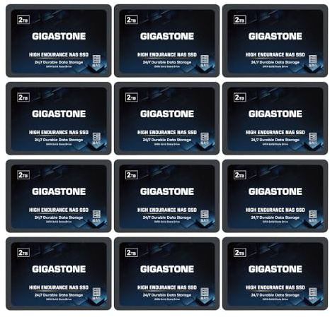 Gigastone SSD 2To NAS SSD Disque (Lot de 12) 24 h/24, 7 j/7 Durable TLC Endurance élevée Raid Synchro sécurisée des données Cache de Stockage en réseau 2,5 Pouces SATA Disque Dur ssd Interne