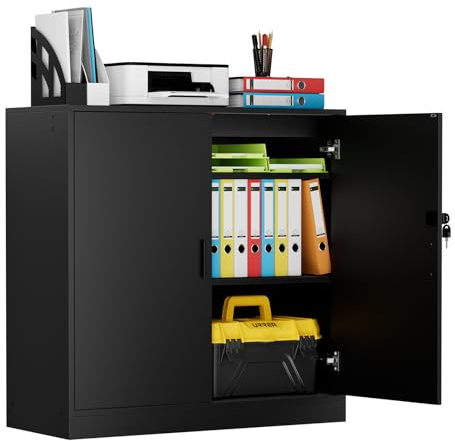 buybyroom Armoire de Bureau, Meuble Rangement Bureau Fermant à clé, 15mm Armoire de Rangement pour Garage Salon Chambre Buffet Imprimante Papier Administratif avec 2 Porte, Placages Réglables, Noir