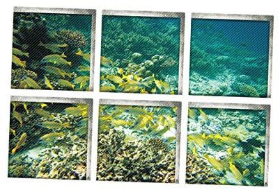 Cabilock Underwater World Bathtub Sticker Blue Fish Design Self-adhesive Removable Vinyl Decals for Bathroom Decoration Non-slip Safety Mat Alternative