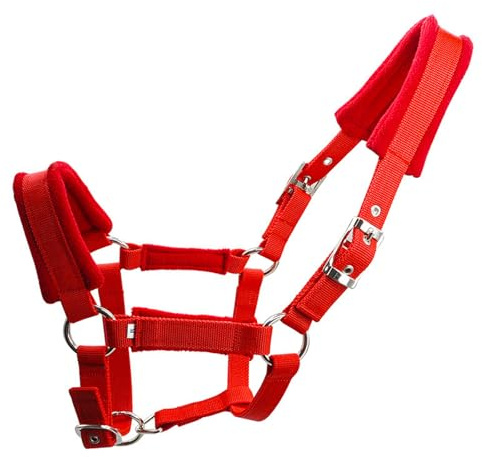 KAHDGSS Accesorio De Brida con Gancho Estable Fácil Instalar Tachuelas para Caballos Equipos Ecuestres Profesionales Tachuelas Metal Resistencia Caballos