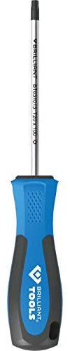 BRILLIANT TOOLS BT031013 Giravite TORX, T20 x 100 mm [Powered by KS TOOLS]