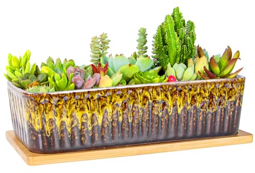 ARTKETTY Succulent Plant Pot - 30.5 CM Large Window Sill Planter with Drainage Tray, Long Rectangle Ceramic Pots for Indoor Cactus Plants Shallow Bonsai Window Box for Home