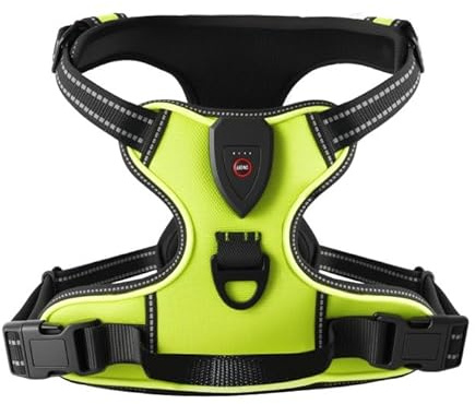 Harnais Lumineux pour Chien, Harnais Chien Anti Traction, Arnet pour Chiens, Gilet de sécurité LED, 3 Modes Éclairage, Facile à Mettre, Gilet Réfléchissant Réglable pour Chien Moyen Grand (M)