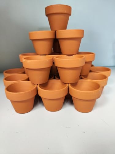 VERDE VIVO 12 Mini Vasetti per Semi da Germinazione in Terra Cotta, con Foro di Scarico, 12 Mini Vasi