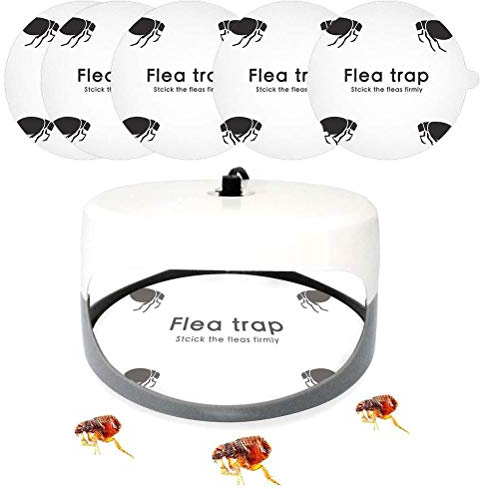 Piège à Puces Autocollant, 5 Dômes Ronds, Plaques de Colle Extra-Forte, Piège à Insectes, Mouches, Puces, Araignées pour Intérieur, Maison, Animaux