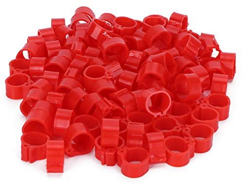 Vogel-Fußring, 200 Stück, rot, Geflügelbein-Clip-Ring, Tauben identifizieren ohne Wort, Markierungsring, Trainingswerkzeug, 10 mm, rot