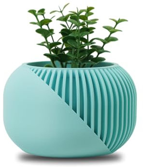 Koala Studio Dualité - Vaso Decorativo da Interno per Piante Sintetiche, Succulente e Cactus - Design Originale Piccolo Mini Vaso per Casa e Soggiorno