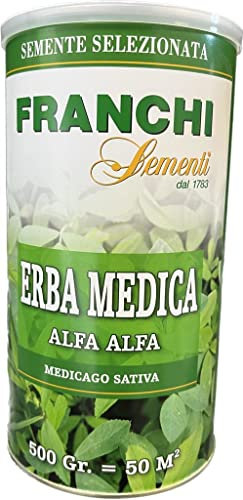 Franchi Sementi semi di Erba Medica (alfa alfa) confezione in barattolo da 500 grammi