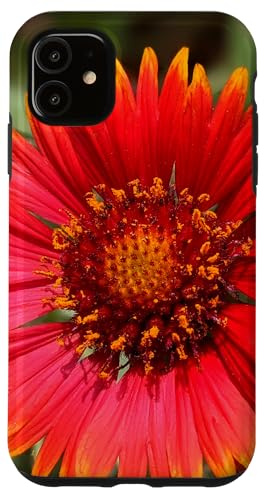 Burgundy Indian Blanket Flower - Fiery Yellow & Red Bloom 2 Case for iPhone 11