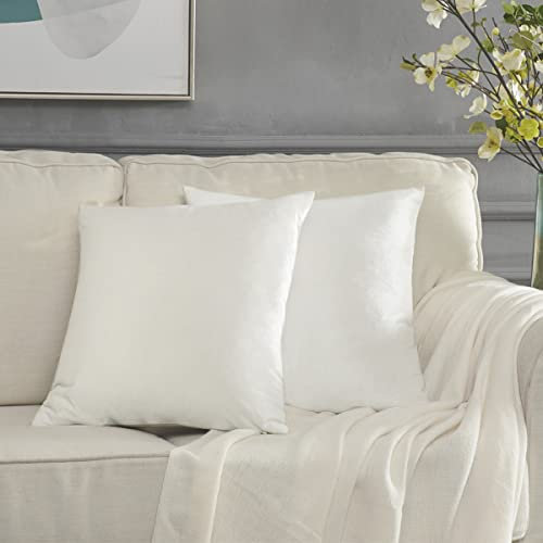 GIGIZAZA 2er Set Weiß Kissenbezug Samt Kissenbezüge Dekorative Kissenhülle Sofakissen Zierkissen deko Dekokissen für Wohnzimmer Schlafzimmer Sofa Auto 40cmx40cm