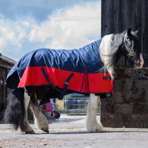 eQuitack Your Passion Is Our Mission Outdoor Winterdecke Turnout 100% Wasserdicht 1200D 100G Fulling Highneck - Navy/Rot 155cm