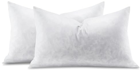 Swandream Feather Throw Pillow Inserts Set of 2, Soft Fluffy Rectangle 12 x 20 Inches Decorative Pillow Insert, Feather and Down Filled Euro Pillows for Bed, Couch and Cushion