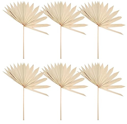 Harewtwy 6 Piezas Grandes Hojas de Palma Secas Abanicos de Palma Secos Naturales Ramo de Flores Secas Decoraciones de Boda Hojas de Palma de Abanico Secas