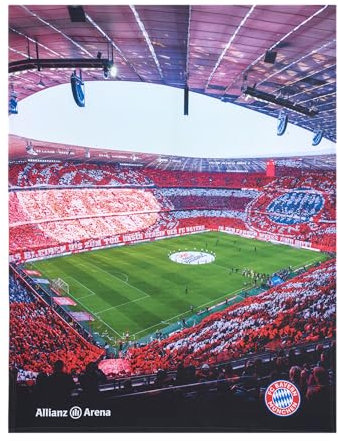 FC Bayern München Kuschelfleecedecke I Sofadecke I Arena I 170x130 cm I Fußball