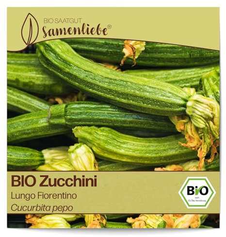 Samenliebe BIO Zucchini Samen alte Sorte Lungo Fiorentino nussige italienische Zucchini gerippt sternförmig gestreift hellgrün 10 Samen samenfestes Gemüse Saatgut für Gewächshaus Freiland und Balkon
