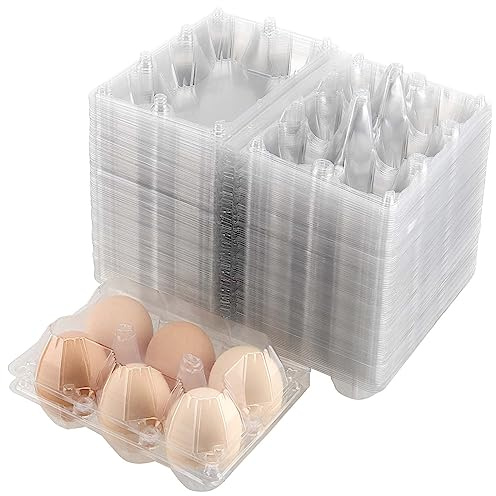 JAPCHET 150 Pack Clear 6 Egg Carton, Empty Plastic Egg Cartons for Chicken Egg Storage and Transport for Kitchen, Market and Farm