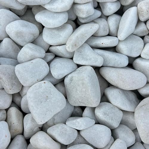 World PLANTIL Piedra mármol Canto rodado Blanco Puro, Piedra Decorativa para Jardin, Espacios Exteriores y Intriores/Paisajismo, Jardineras y Macetas/Terrazas y Patios (24/40 mm 20 kg)