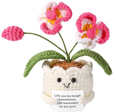 TOYMIS Positive Orchidee, Gehäkelte Orchidee Emotionale Unterstützung Häkelblumen mit Positiver Nachrichtenkarte als Motivierendes Geschenk Zuhause Büro Dekor Geschenk zum Schulanfang(Weiß und Rosa)
