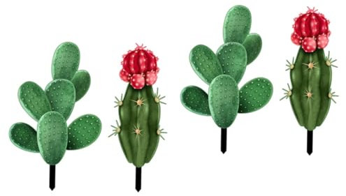 CLISPEED 2 Set Decorazione Da Cactus Da Esterno Per Cortili E Inserito Per Decorazione Botanica 2 Pezzi*2