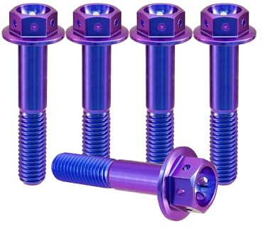 RISON-Titanium 5 Stück Titanschrauben M8x1.25x40mm, Titan Flansch Schrauben Sechskantschraube, Titan Schrauben Gebohrter Bolzen Bremssattelschraube Motorradschrauben Autoschrauben