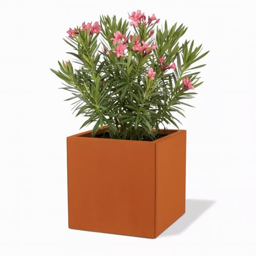 Czaja Corten Steel Fiorella Pot de fleurs 40 x 40 x 40 cm avec plaque de sol, fabriqué en Allemagne, bac à fleurs carré décoratif en rouille, résistant aux intempéries et durable, pour jardin