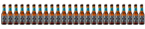 Maeloc Sidra Seca - 24 botellas x 200 ml