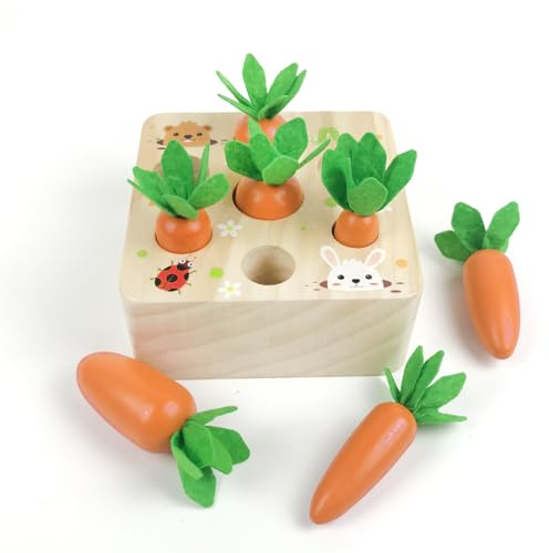 Giocattoli in legno a partire da 1 anno, giocattolo motorio per bambini di 12 mesi, ragazzi e ragazze, gioco di smistamento Montessori, puzzle in legno, raccolta di carote, giocattolo educativo per il