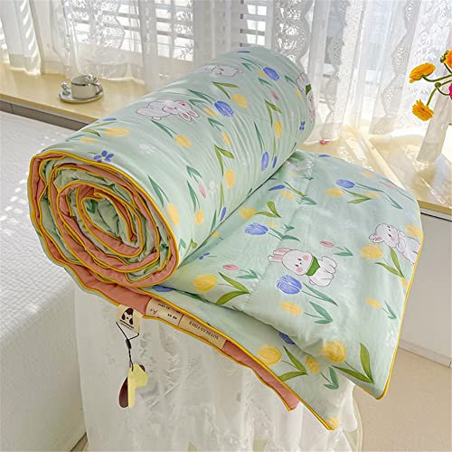 FANSU Quilted Bedspreads Single Double Super King Bed Size, Reversible Quilted Bed Cover Sofa Blanket Coverlet Microfiber Comforter Bed Throw(150x200cm,Coloured Tulips)