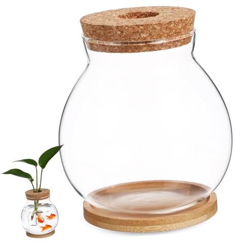 Toddmomy Aquarium Hydroponique pour Betta Petit Réservoir avec Mat Terrarium Moderne pour Plantes Et Poissons Accessoire Décoratif Et Fonctionnel