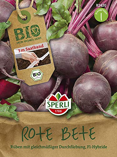 Sperli 82420 Rote Bete Boro F1-Hybride (Saatband) (Bio-Rübensamen)