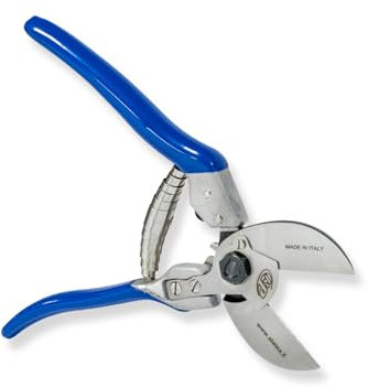 PATERLINI Forbici Potatura Professionali - Cesoie da Giardinaggio Affilate per Potatura Facile - Attrezzi Giardinaggio, Forbice da Frutteto per Innesto e Tagliare Rami (Doppio Taglio)