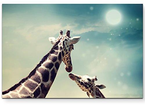 Leinwandbilder | Bilder Leinwand 120x80cm Giraffe mit Kind – Nahaufnahme