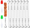 Ajuanbazha 24 Pièces Brochettes en Acier Inoxydable avec 2 Pinceaux, Réutilisables Brochettes Inox pour Barbecue,Viande,Légumes