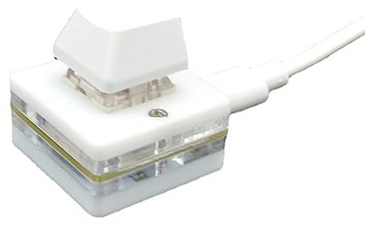 Dcaknri Tastierino Copia E Incolla con Un Pulsante Tastierino Numerico USB Programmazione Silenzioso Interruttore Rosso/Verde/tè/Bianco Pratica Tastiera per Copia E Incolla