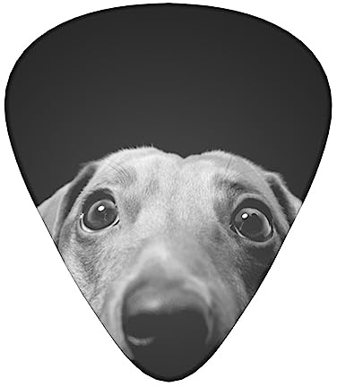 Pad Dackel bedruckte Gitarrenplektren Personalisierte Gitarre Plektren 12 Stück für Akustikgitarre E-Gitarre und Bass Bulk Gitarre Plektrum Einheitsgröße