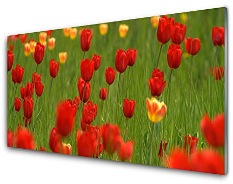 Tulup Glass Print Wall Art 100x50cm Image printed on Glass Decorative Wall Picture Tempered Safety Glass Kitchen & Living Room - Tulips Nature