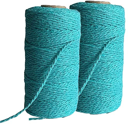 Pack of 2 Gardening Twine, 100 M x 2 MM Twine Garden String Color Packaging Rope Gift Rope Craft String for DIY Handicraft Decoration Binding(Blue)
