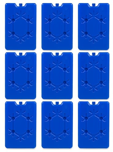 Albert Austin Home Freezer Blocks Mini Reusable Ice Blocks for Cool Bags Space Saving Freezer Packs Cooler Bag Ice Packs Non Toxic Kids Lunch Boxes Outdoor Travel Camping Picnic