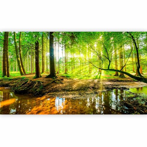 murando - Fototapete Vlies Wald, 500x280 cm, Schlafzimmer, Wohnzimmer | Full HD Druck, 3D-Effekt, lichtbeständige Farben, ideal fürs Wohn- oder Schlafzimmer, schnelle Montage, lichtbeständig, edel