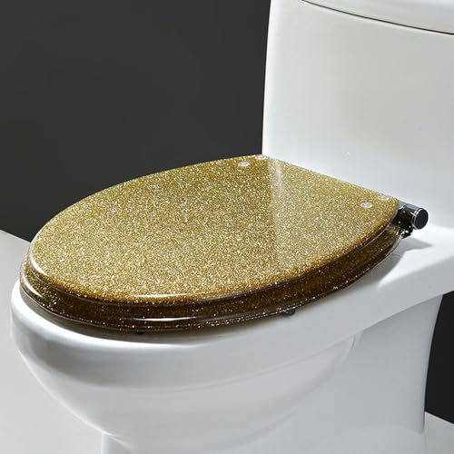 Unikicool Toilettensitz Aus Kunstharz,WC Sitz Glitzer,Klodeckel,Transparenter WC-Sitz,WC Sitz Mit Absenkautomatik,Glitzer Toilettendeckel Aus Kunstharz,Geeignet FüR Die Meisten Toiletten