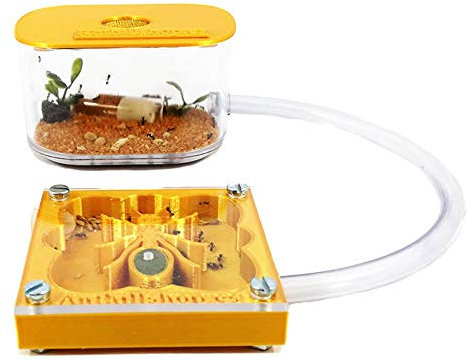 ANTHILLSHOP 3D Ameisenfarm 7x7 cm mit Deckel | weiße Farbe - Schaumstoff-Feuchtigkeitssystem【Ameisen kostenlos enthalten】